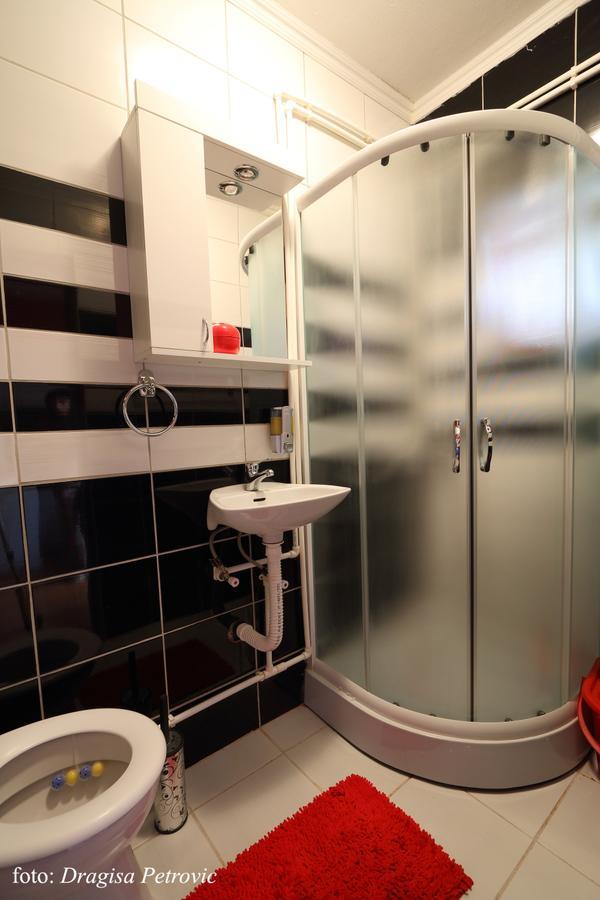 Apartment Mina Soko Banja Ngoại thất bức ảnh